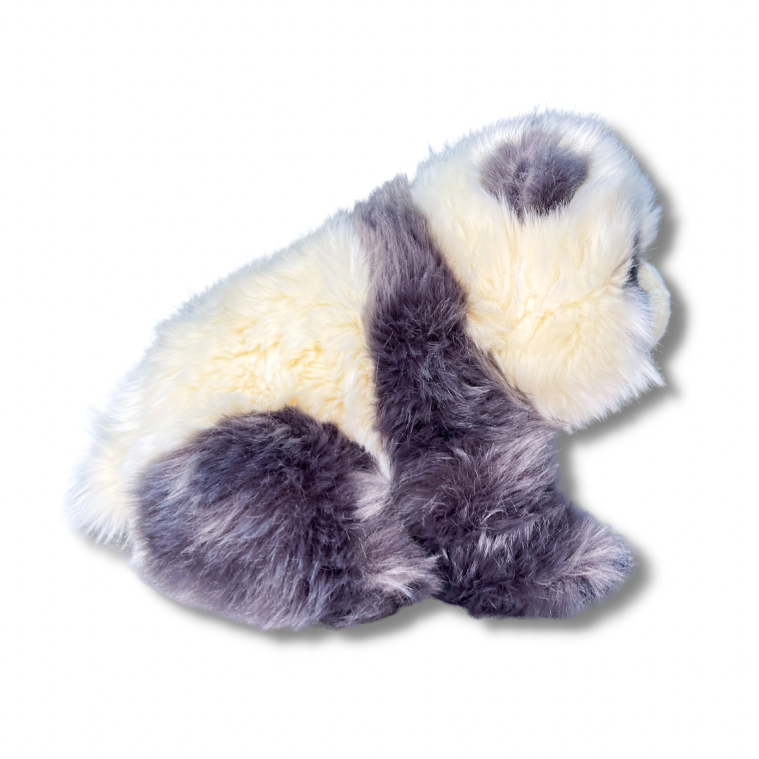 Pandita