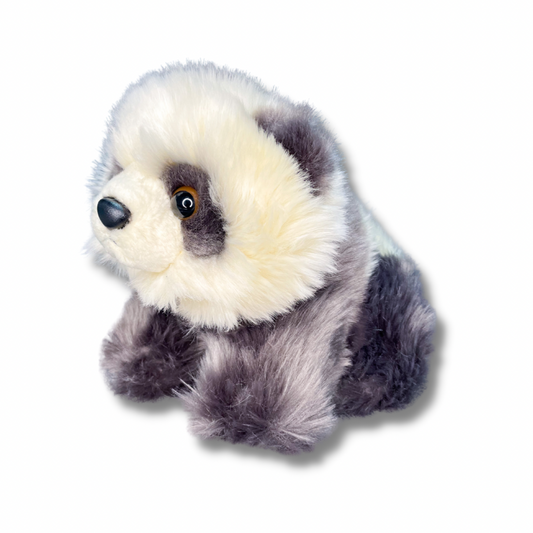 Pandita (calidad premium)